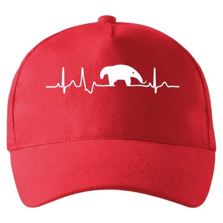 Mravčiar EKG