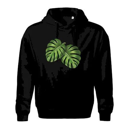 Monstera - dva listy