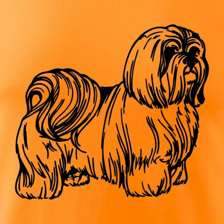 Shih-tzu - chlpatý