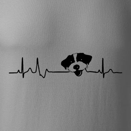 Jack Russell Teriér hrubosrstý Ekg