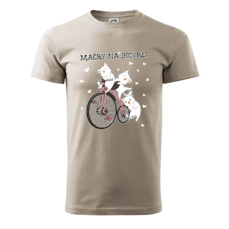 Mačky na bicykli
