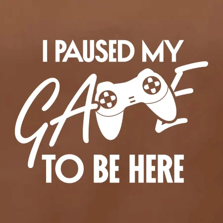 I paused my game to be here