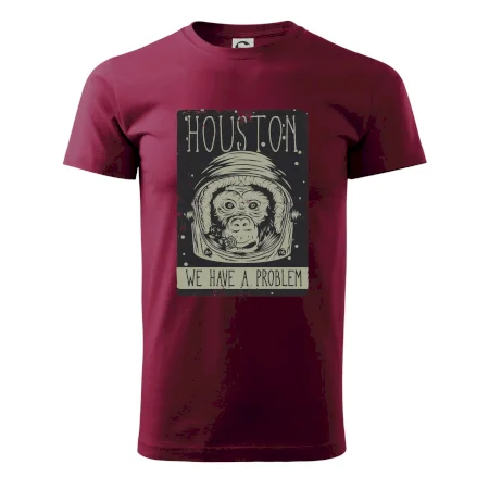 Houston we have a problem