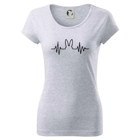 EKG zajac