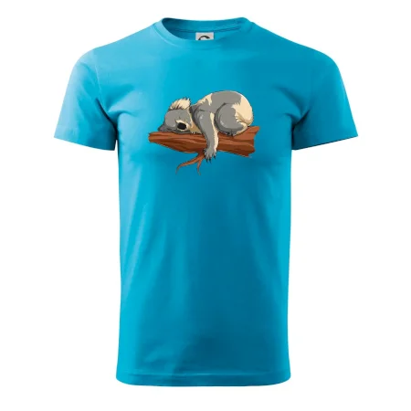 Koala na vetve