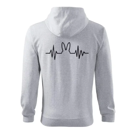EKG zajac