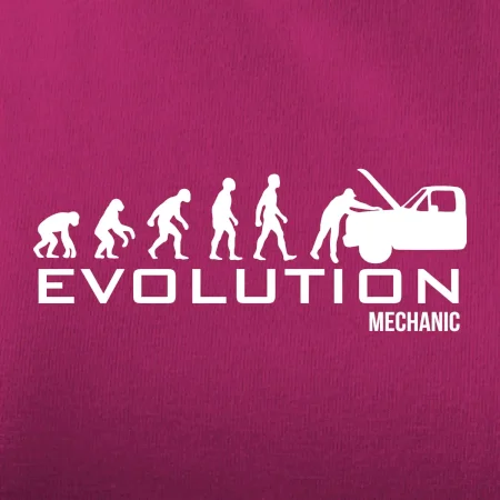 Evolúcia mechanik