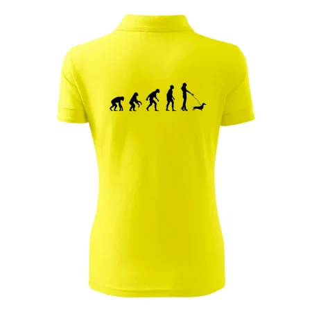 Jazvečík Evolúcia žena
