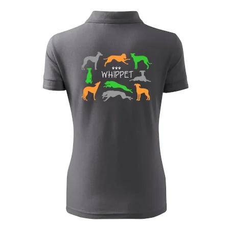 Whippet farebný