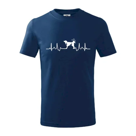 Český strakatý pes EKG