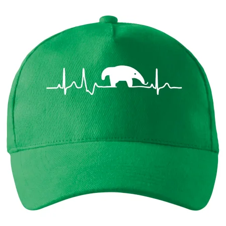 Mravčiar EKG