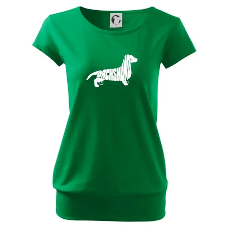 Jazvečík - Dachshund