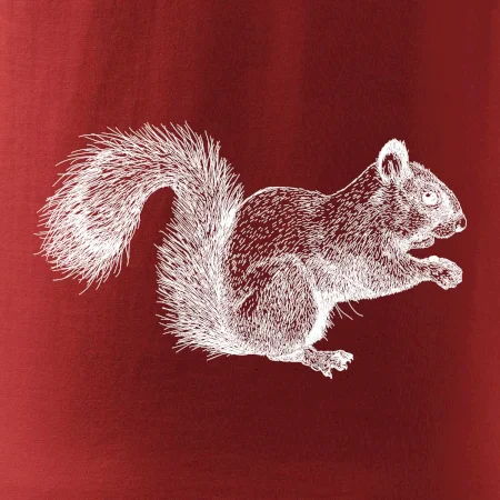 Veverička kresba