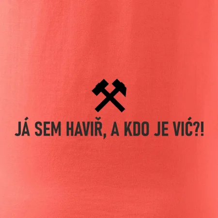 JÁ SEM HAVIŘ, A KDO JE VIĆ?!﻿