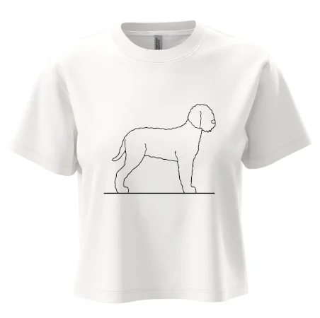 Lagotto romagnolo stojaci