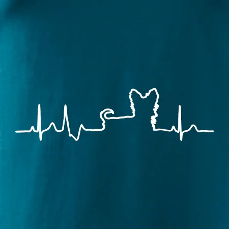 Yorkshirský teriér EKG