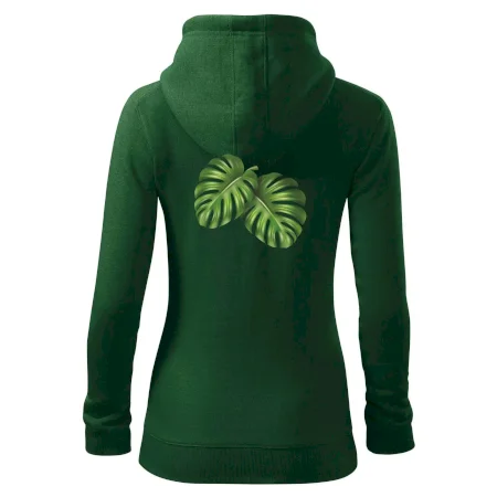 Monstera - dva listy