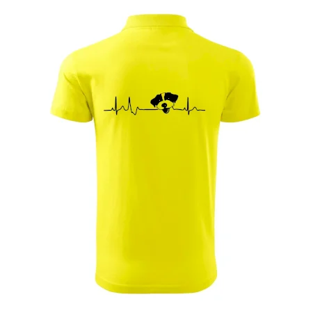 Jack Russell Teriér hrubosrstý Ekg