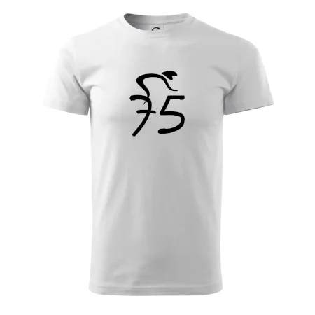 Cyklista oslavuje sedemdesiatpäťpäťky (75)