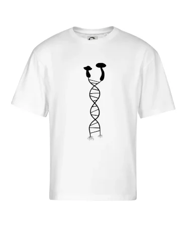 DNA huby