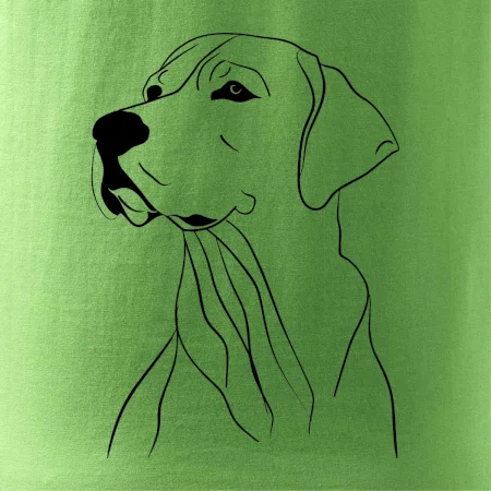 Labrador čierna kresba