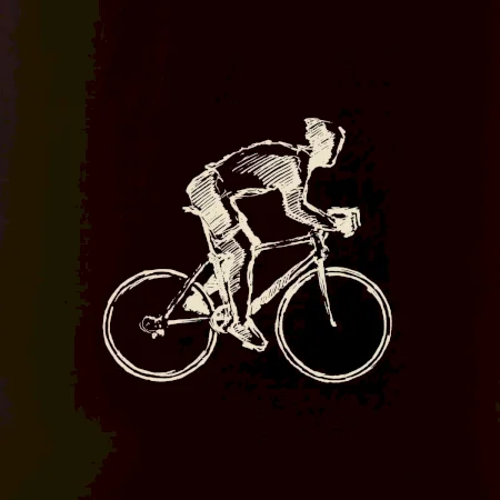 Cyklista cestárkár