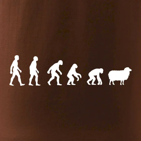 Evolúcia ovce