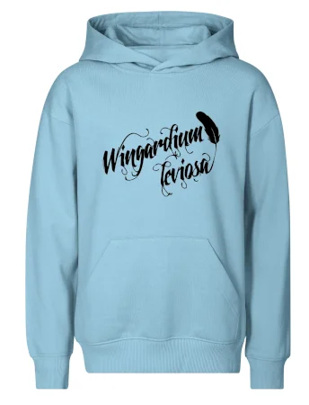 Harry - Wingardium Leviosa