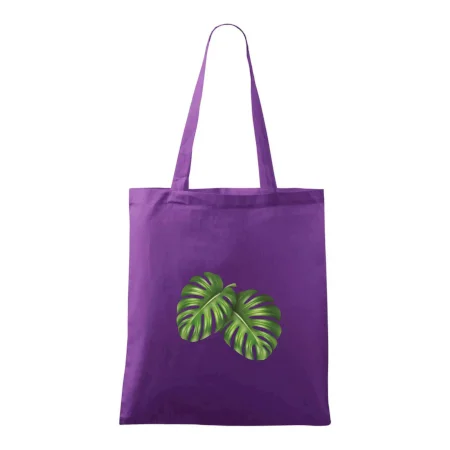Monstera - dva listy