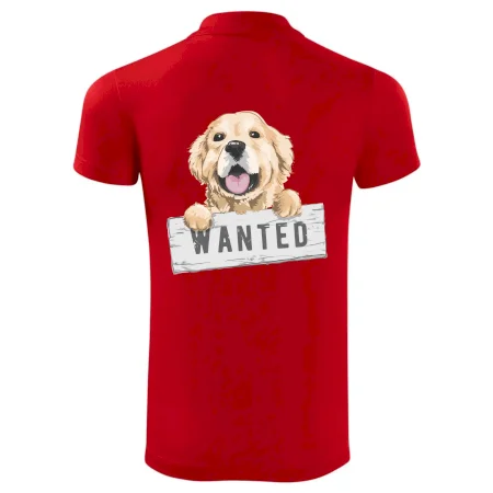 Zlatý retriever - šteniatko wanted