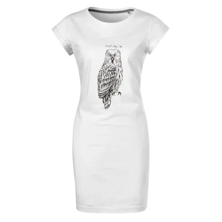 Sova bradatá Barred owl
