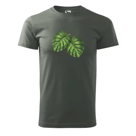 Monstera - dva listy