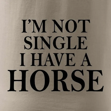 I have a horse