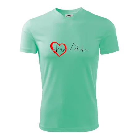 Nemecký ovčiak ekg