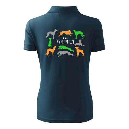 Whippet farebný