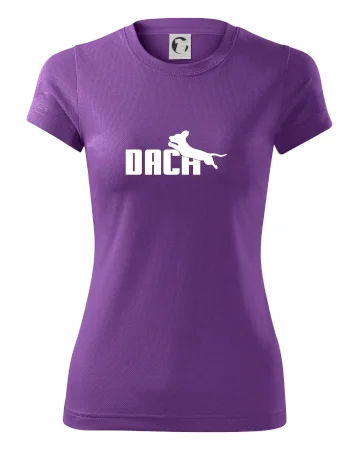 Jazvečík Dach