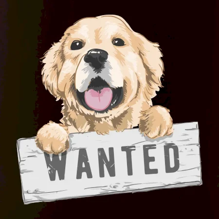 Zlatý retriever - šteniatko wanted