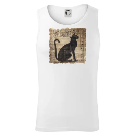 Egyptské hieroglyfy mačka