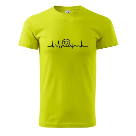 Ekg ovce