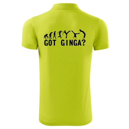 Capoeira - Got Ginga