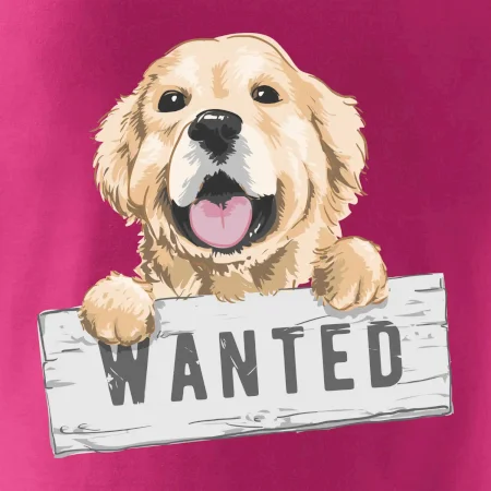 Zlatý retriever - šteniatko wanted