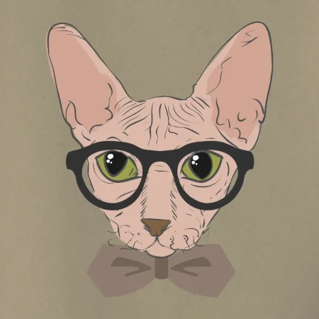Hipster sphynx
