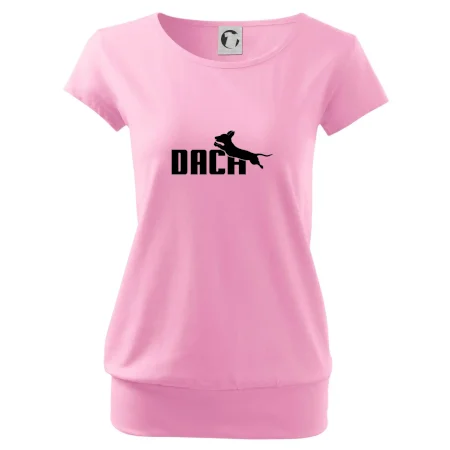 Jazvečík Dach