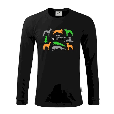 Whippet farebný