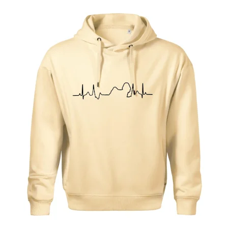 Shih-tzu ekg obrys