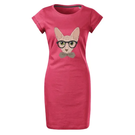 Hipster sphynx