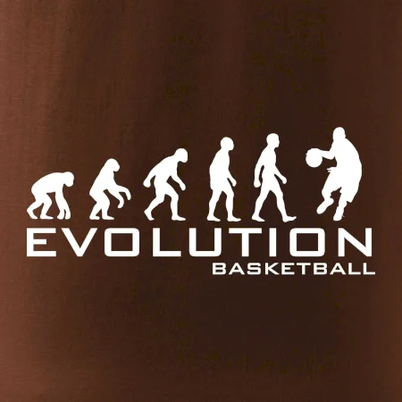 Evolúcia Basketball