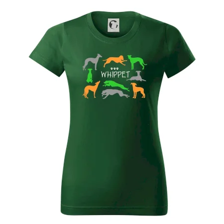 Whippet farebný