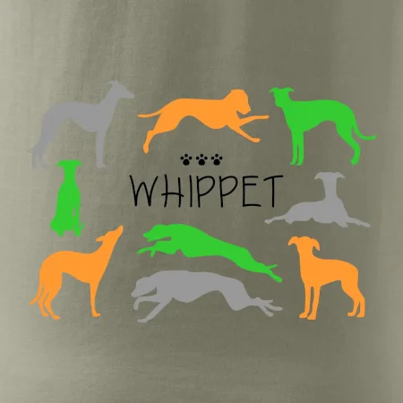 Whippet farebný