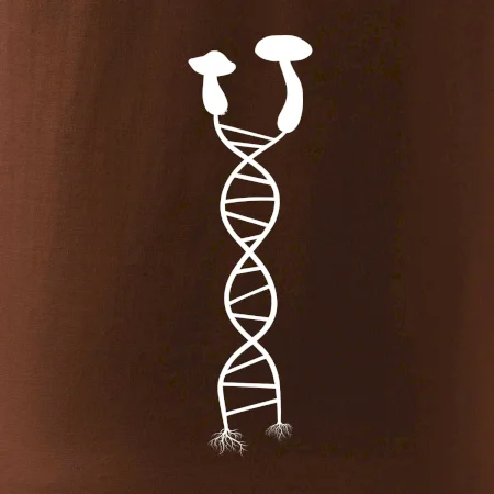 DNA huby